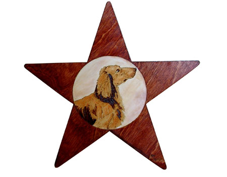 DachshundPlaqueStar1