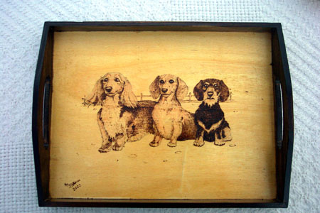 DachshundTray1